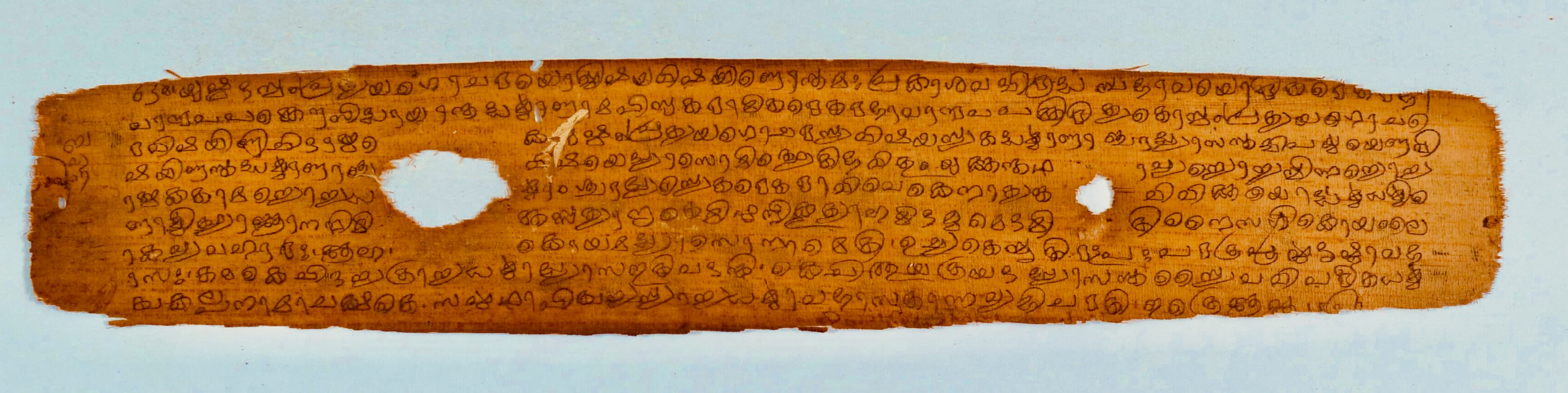 Foglio di manoscritto sanscrito in scrittura malayalam, proveniente dal Kerala