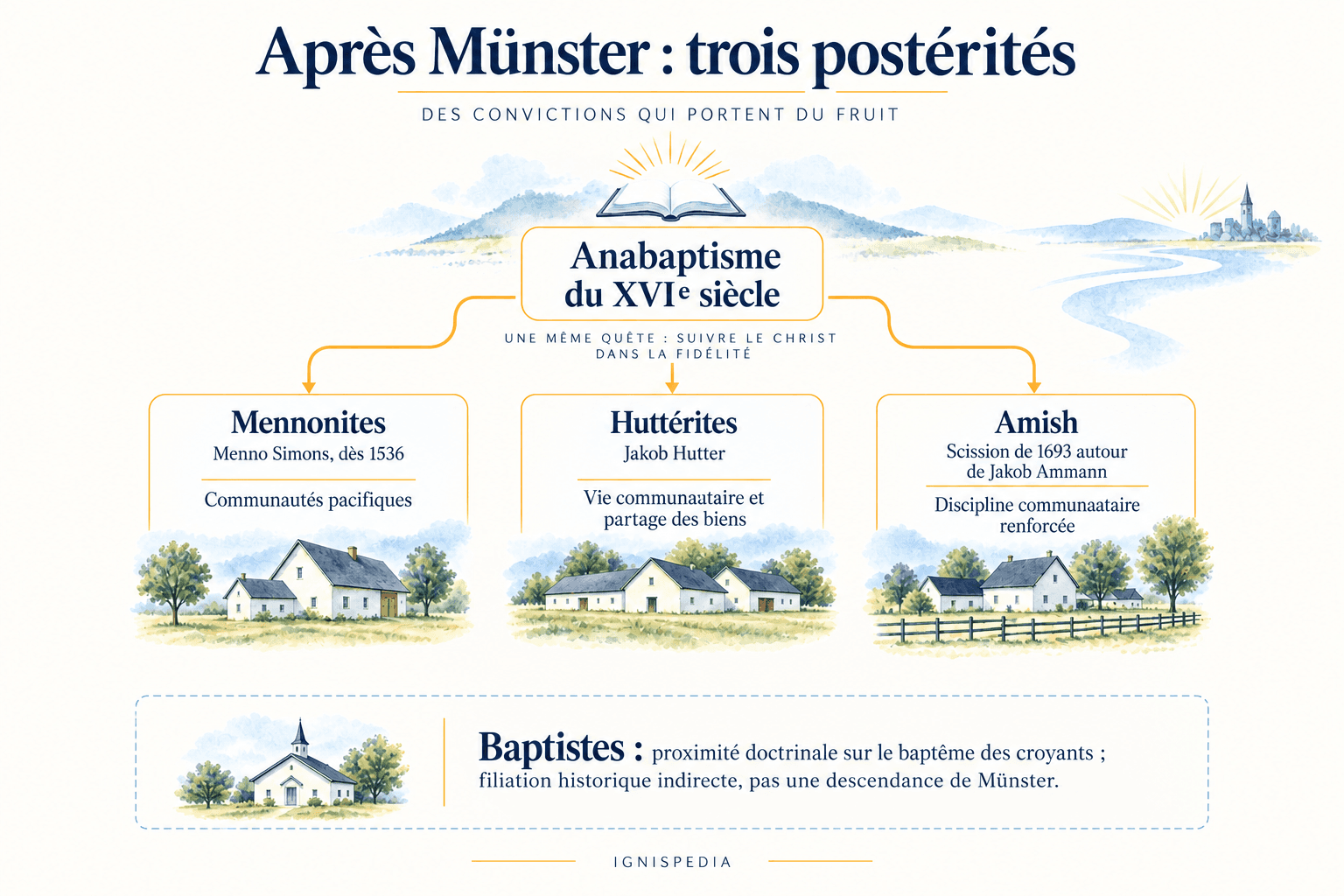 Infographie des postérités mennonite, huttérite et amish, avec la proximité doctrinale baptiste