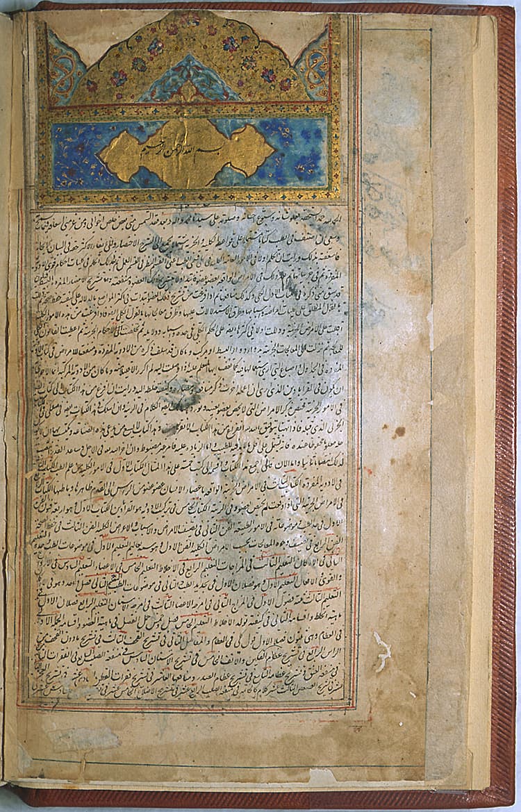 Pagina miniata di un manoscritto arabo del Canone della medicina
