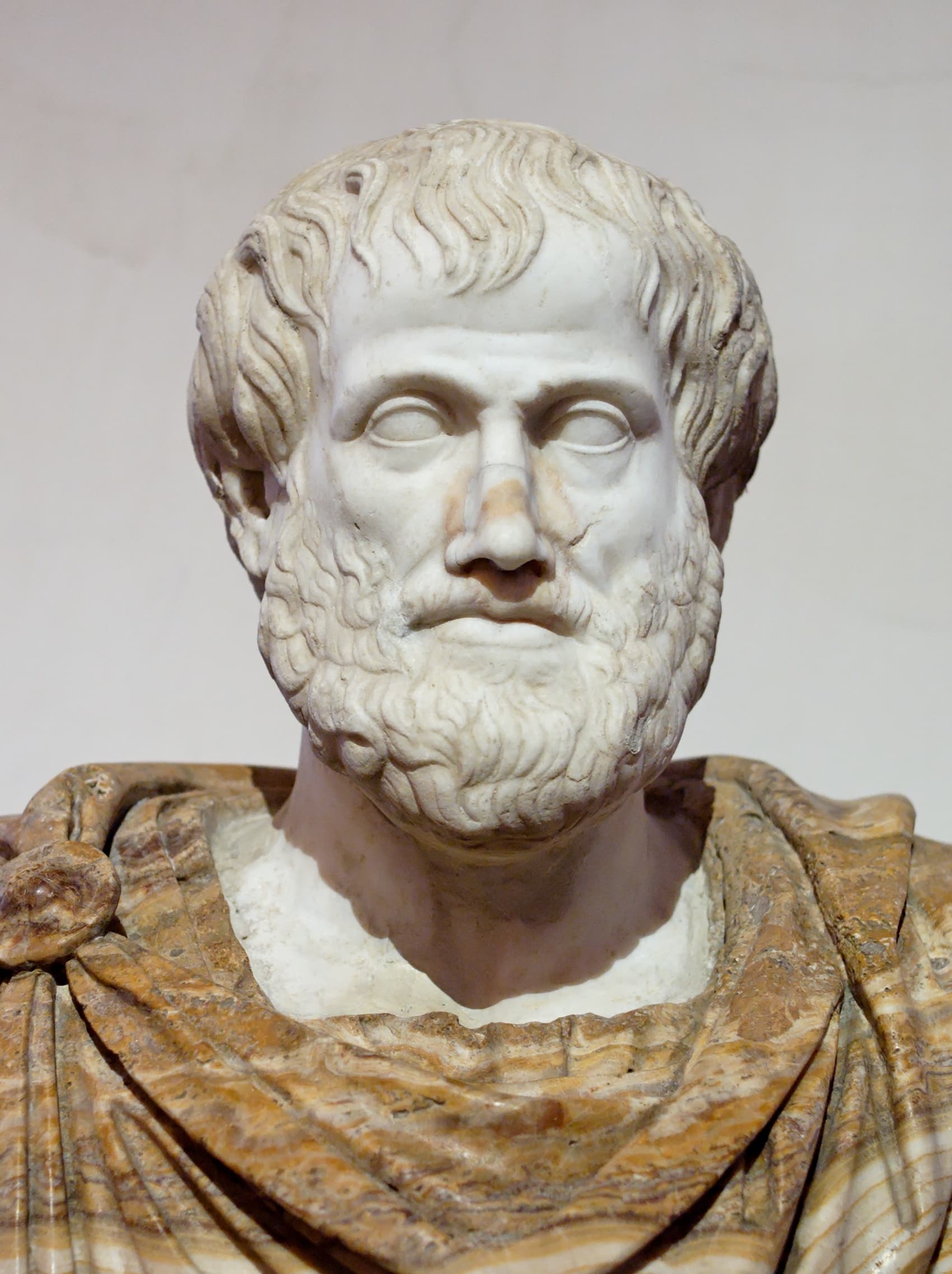 Aristotele, busto romano in marmo da Lisippo, Palazzo Altemps a Roma
