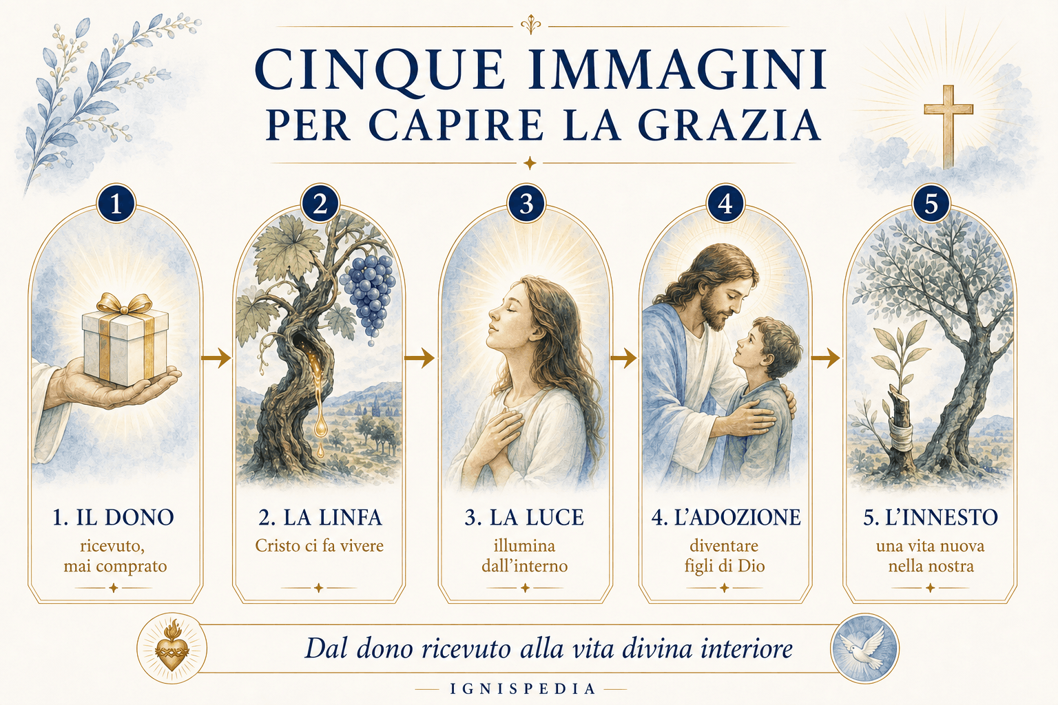 Infografica: cinque immagini per comprendere la grazia — il dono, la linfa della vite, la luce, l’adozione, l’innesto