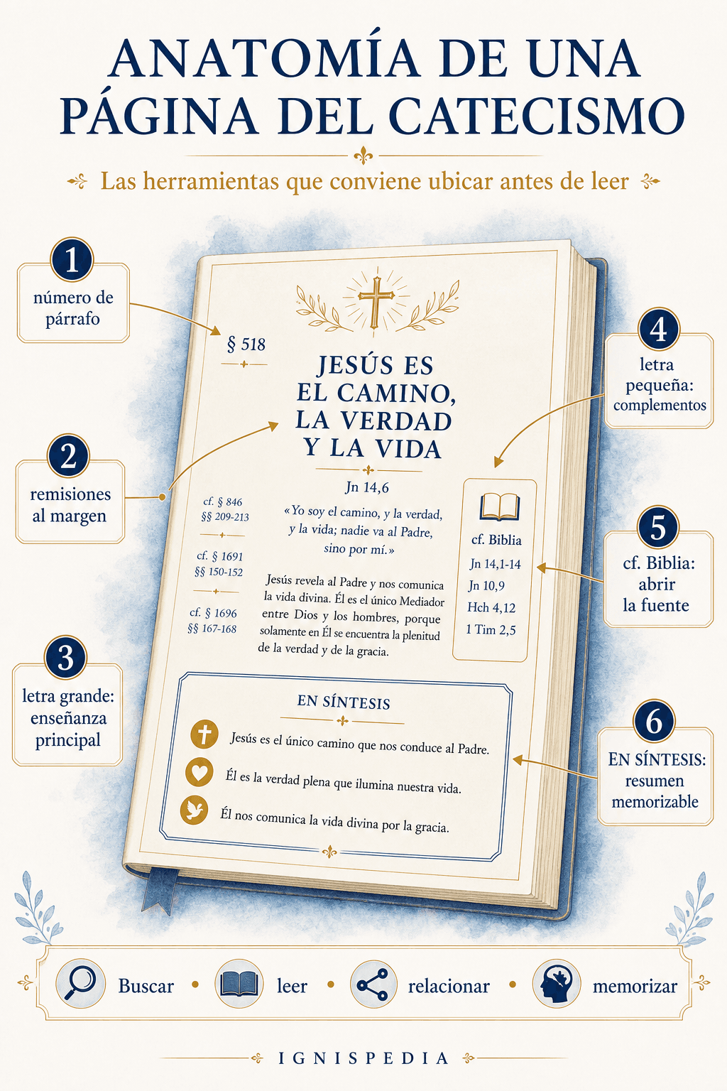Infografía que explica las remisiones, los tamaños de letra, las referencias bíblicas y los recuadros En síntesis de una página del Catecismo