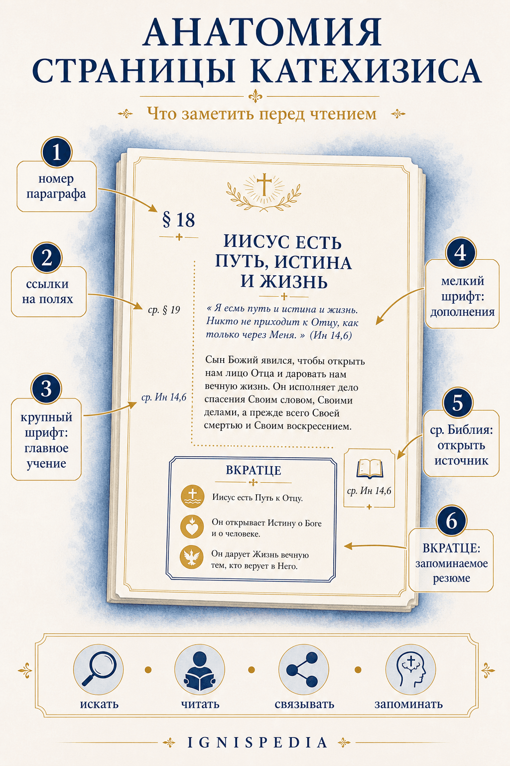 Инфография, объясняющая ссылки, размеры шрифта, библейские отсылки и блоки Вкратце на странице Катехизиса