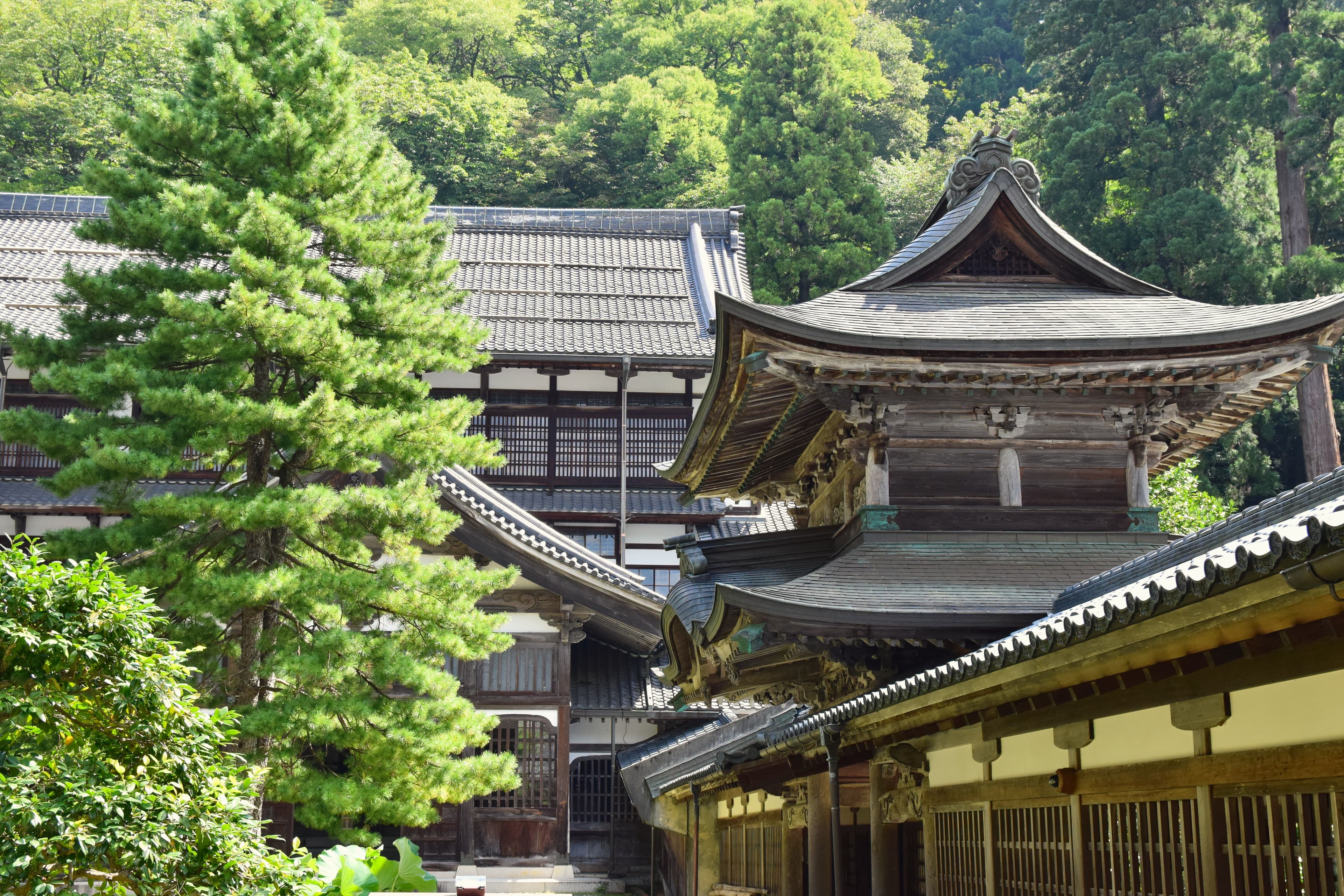 Architektur und Vegetation des Tempels Eihei-ji, fotografiert im September 2019.