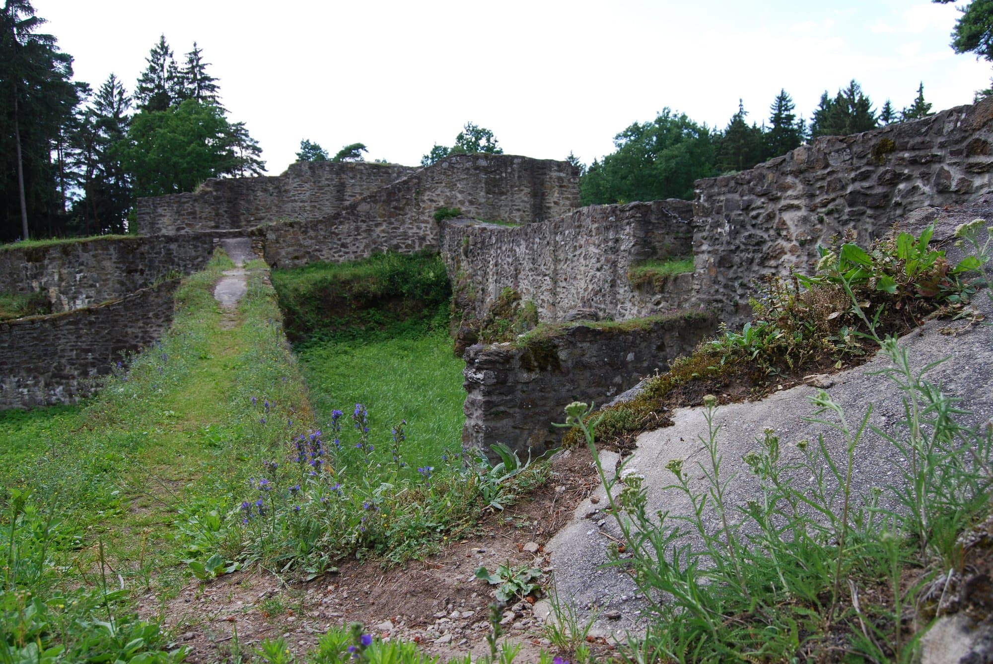 Radura nel bosco con le rovine in pietra del castello di Kozí Hrádek