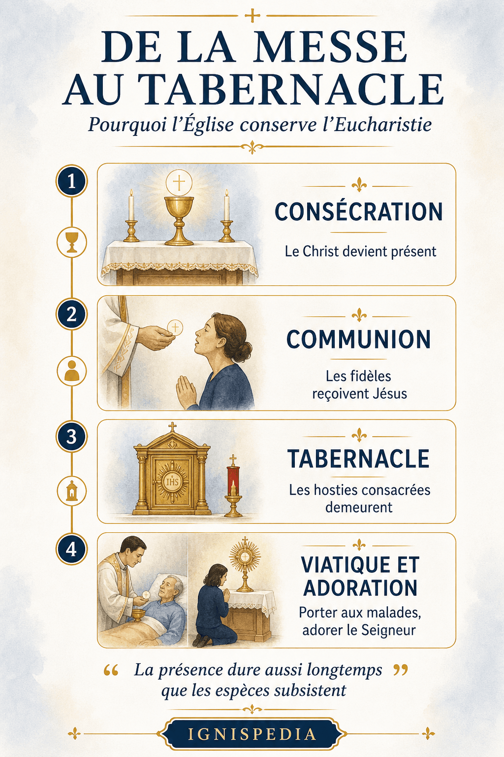 Infographie des trois textes magistériels contemporains sur l'Eucharistie : Mysterium Fidei, Ecclesia de Eucharistia, Sacramentum Caritatis