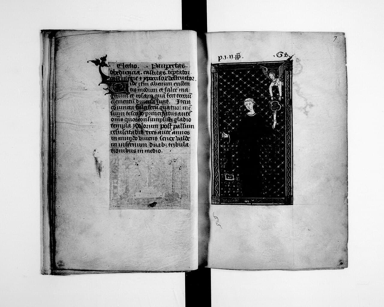 Pagina miniata di un manoscritto quattrocentesco dei Vaticinia de apostolicis viris, apocrifi attribuiti a Gioacchino