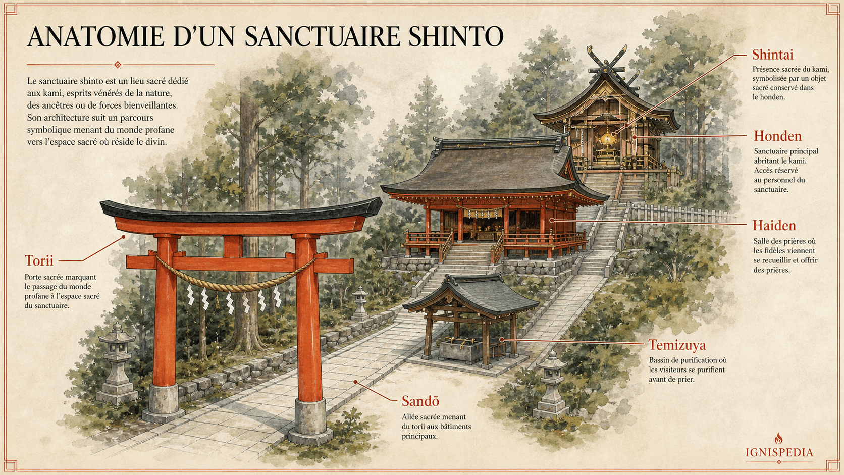Plan annoté d'un sanctuaire shinto, du torii au honden