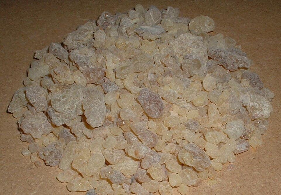 Granos de resina de olíbano de Dhofar