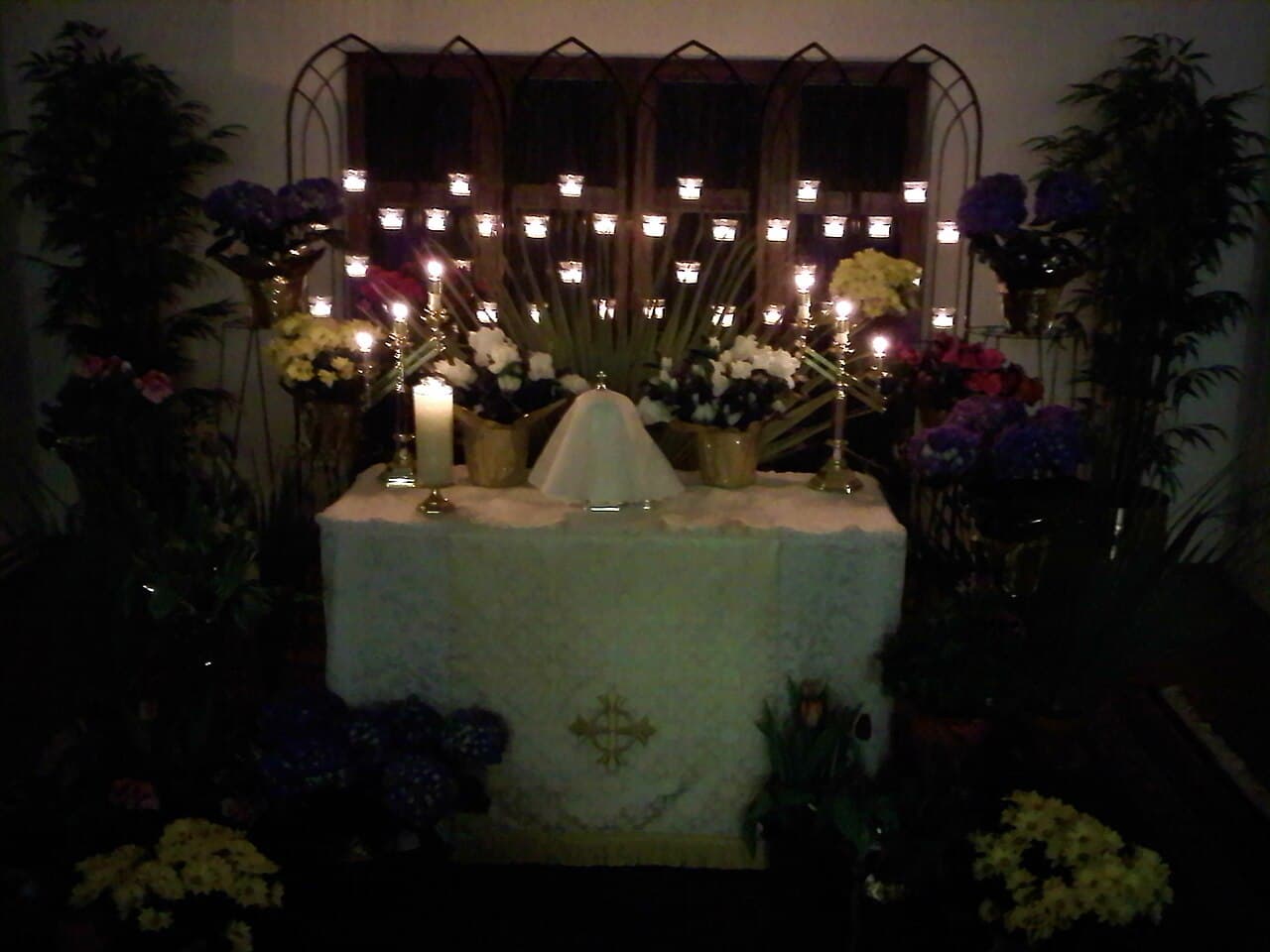 Altar of repose after the Holy Thursday Mass, Ohio, 2009