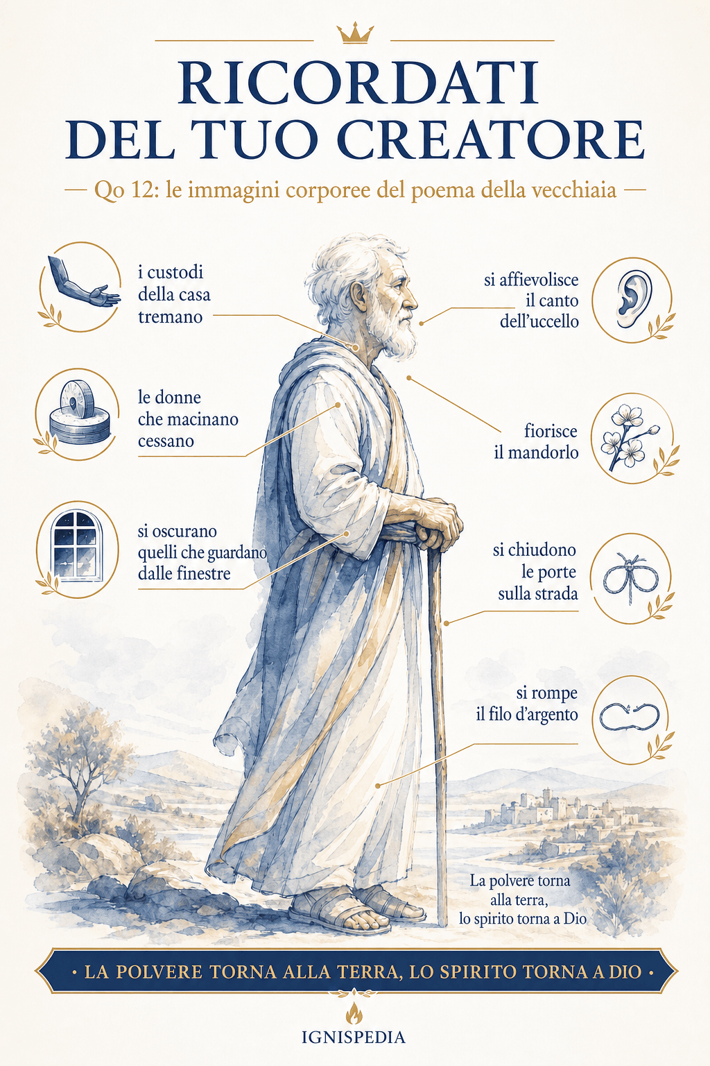 Infografica delle sette metafore del poema della vecchiaia in Ecclesiaste 12