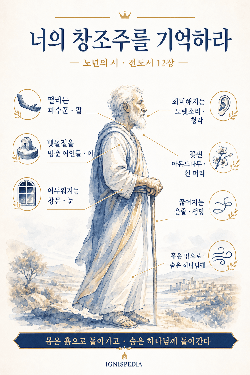 전도서 12장의 노년시에 나타난 일곱 가지 비유의 인포그래픽