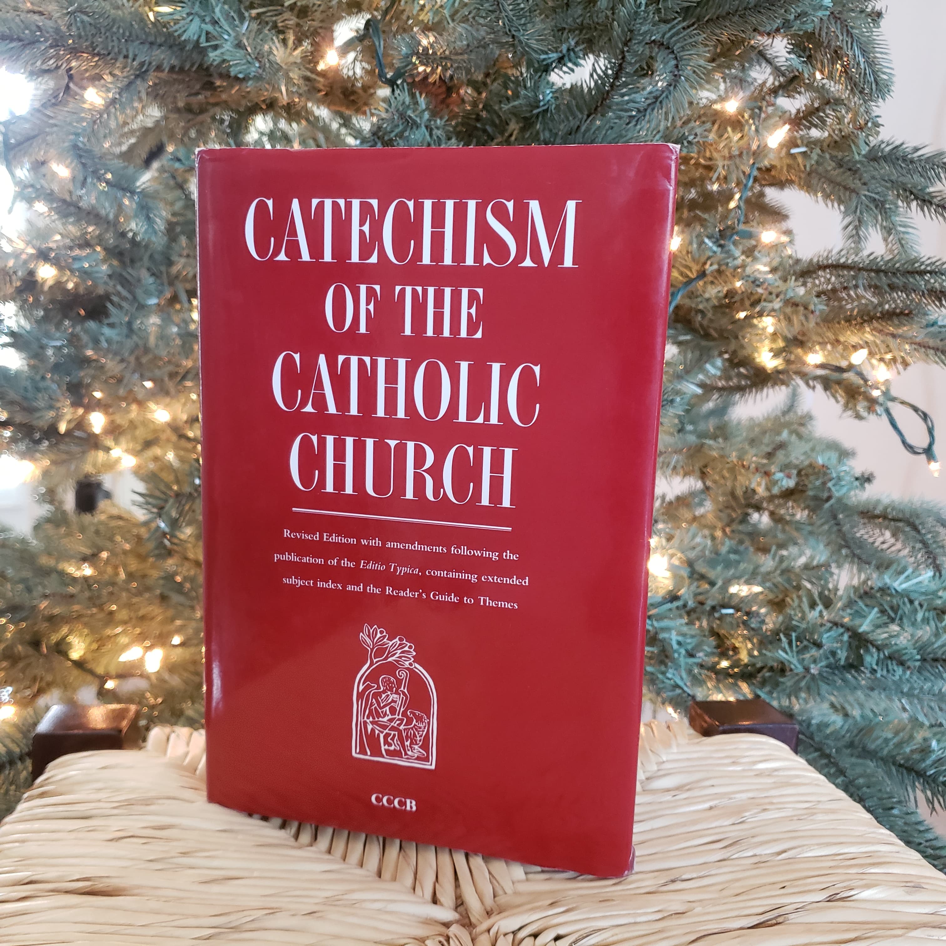 Una copia del Catechismo della Chiesa Cattolica all'aperto
