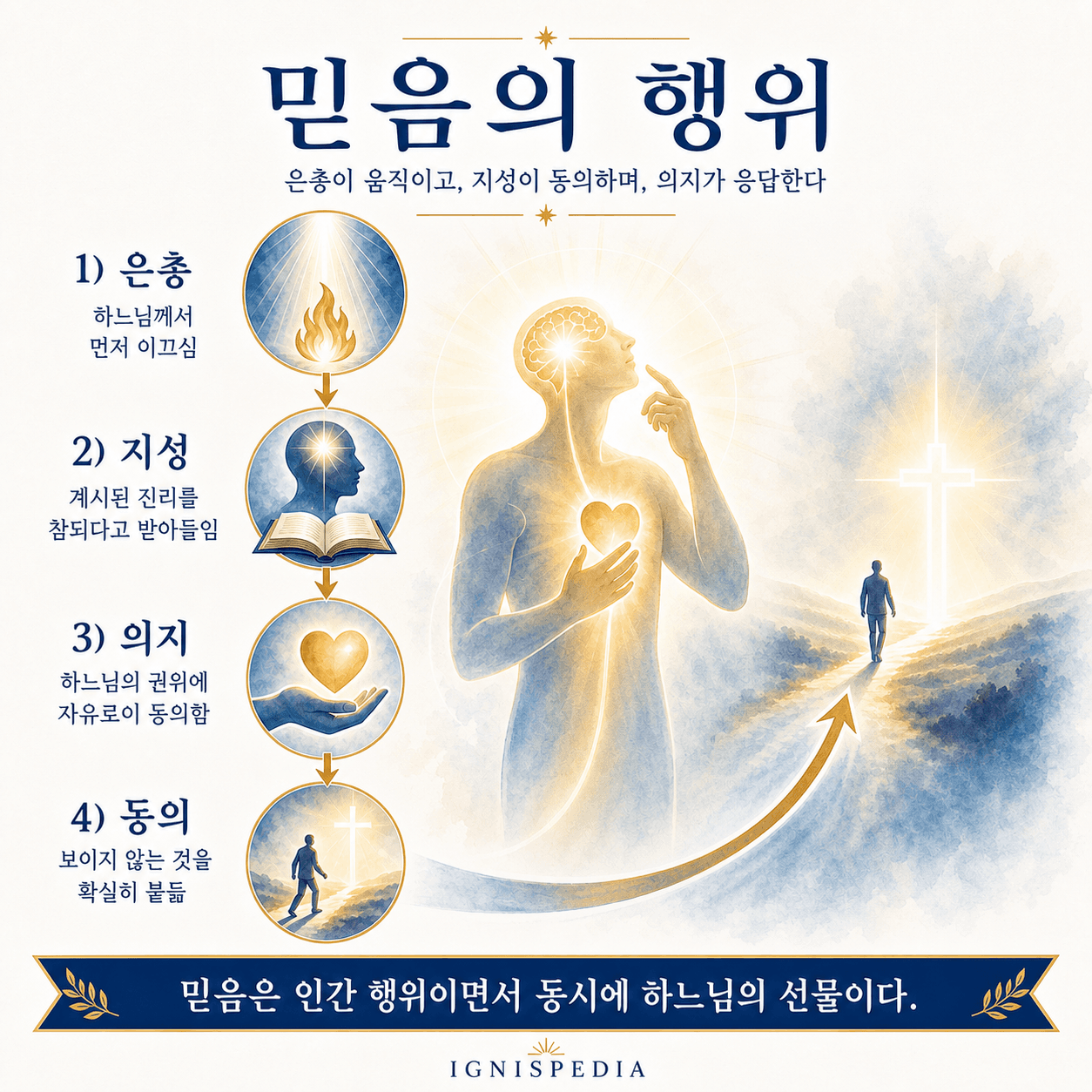 믿음의 행위를 은총, 지성, 의지, 동의의 네 차원으로 설명한 한국어 인포그래픽