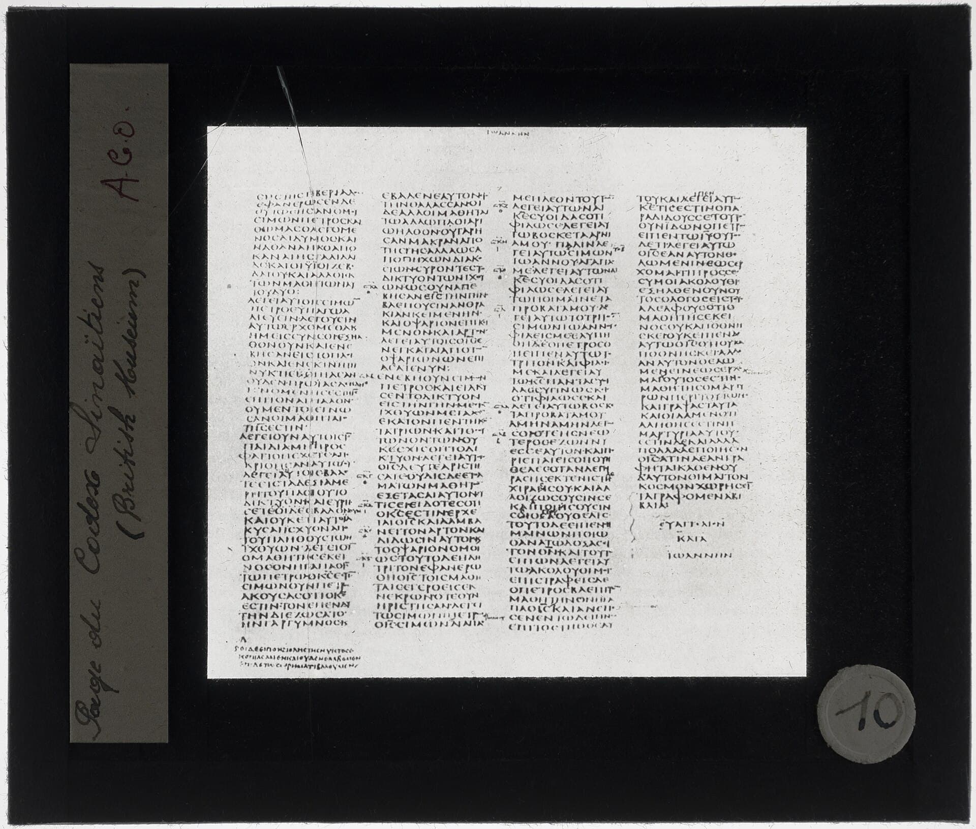 Reproduction photographique d'un folio grec en quatre colonnes du Codex Sinaiticus