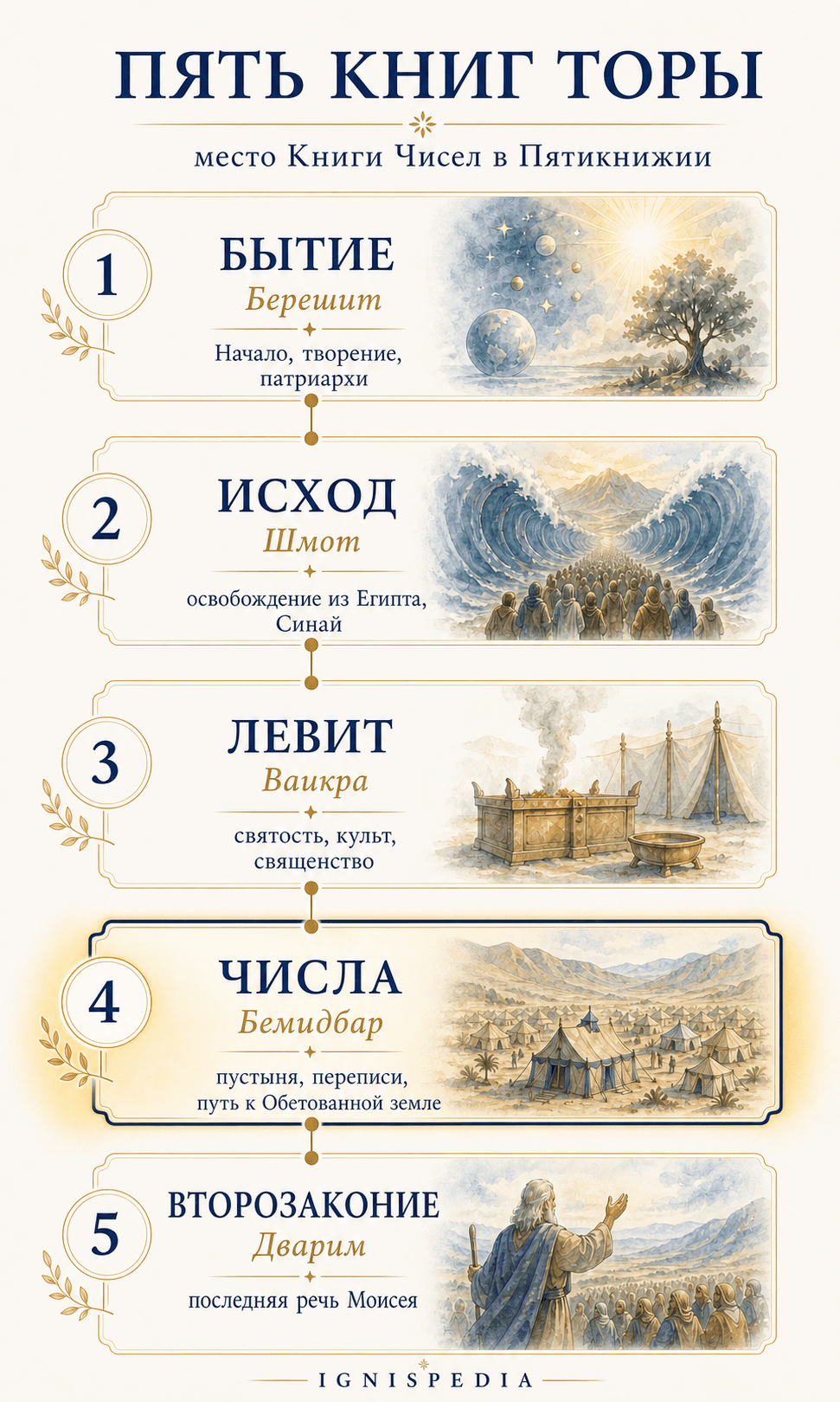 Инфографика пяти книг Торы с выделенной книгой Чисел