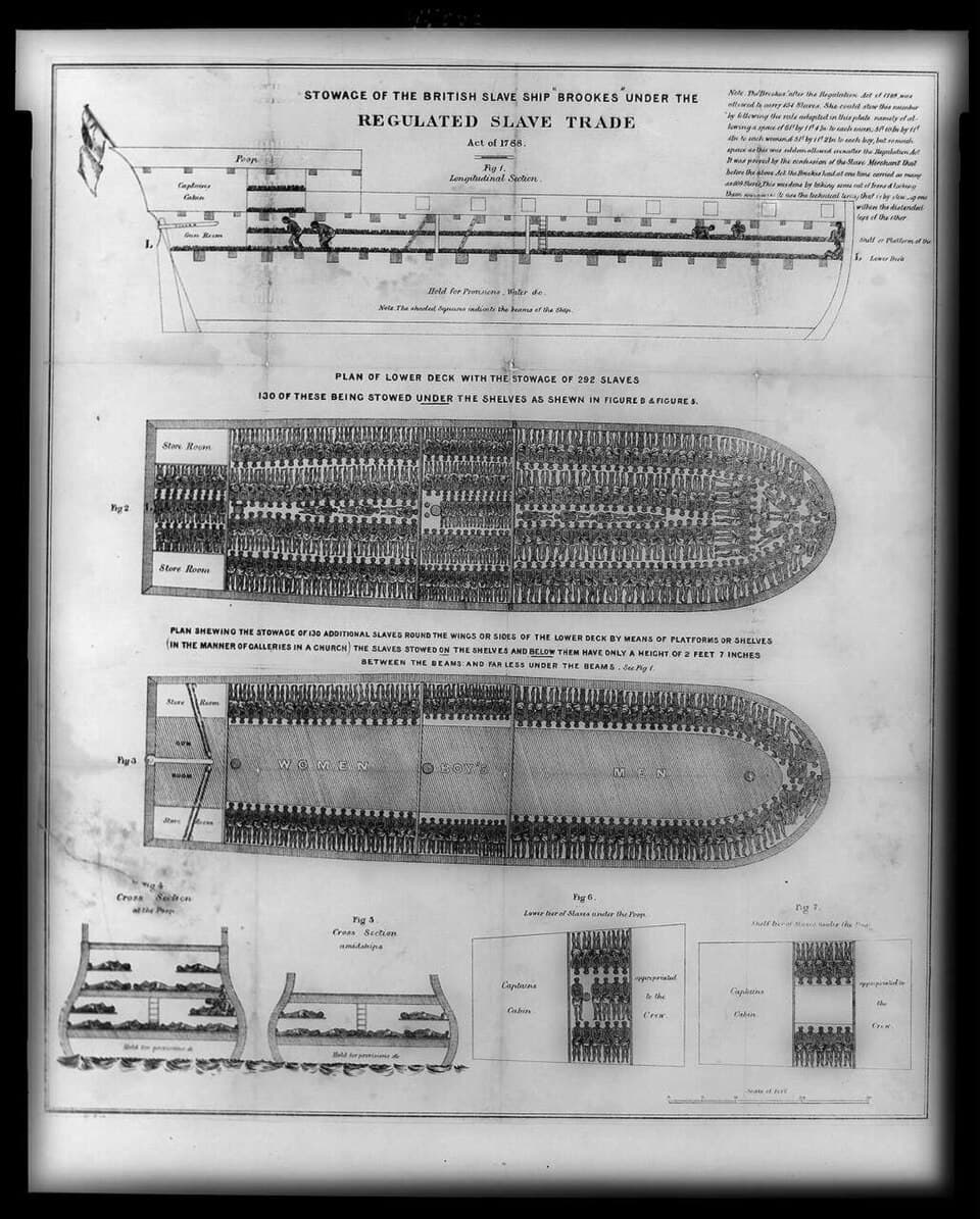 Plan du navire négrier Brookes publié en 1788