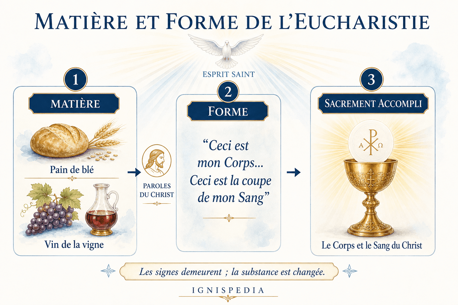 Infografik zur Materie der Eucharistie (ungesäuertes Weizenbrot und Wein vom Weinstock) und zur Form (die Wandlungsworte), mit dem Ergebnis: Leib und Blut Christi.