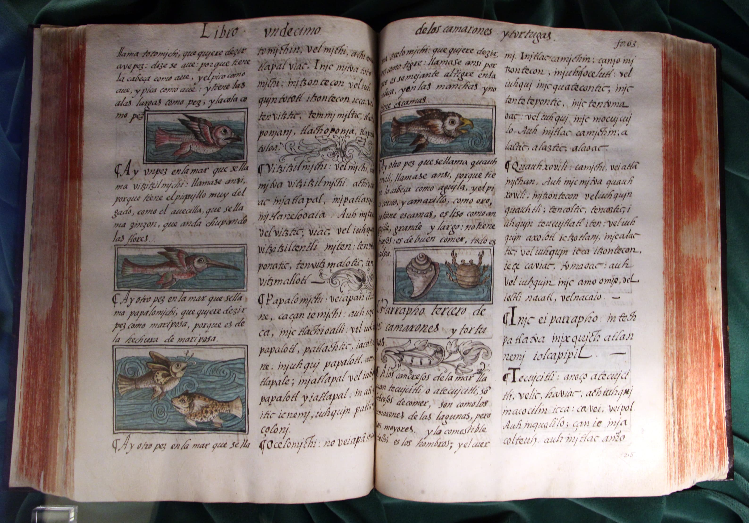 Illuminierte Seite des Codex Florentinus von Bernardino de Sahagún, Historia general de las cosas de Nueva España