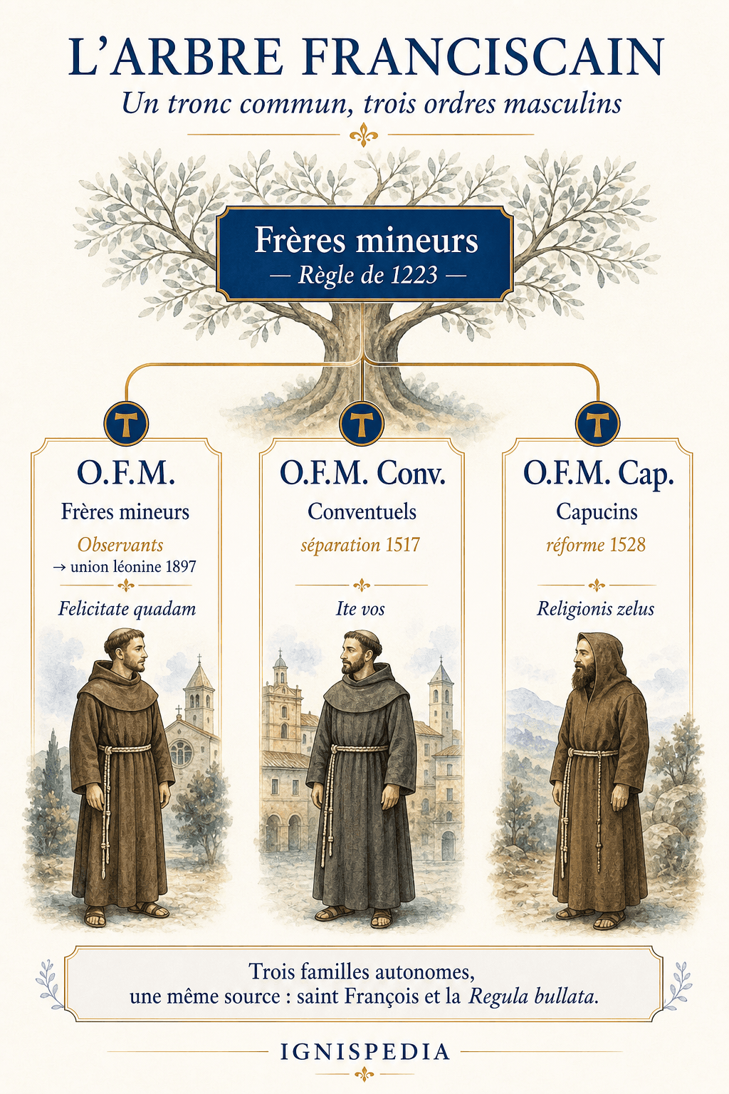 Arbre généalogique des trois branches masculines franciscaines actuelles : O.F.M., O.F.M. Conventuels et O.F.M. Capucins