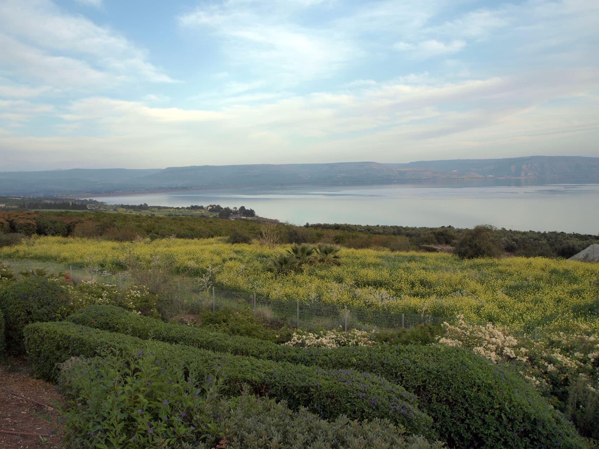 Il mar di Galilea visto dal monte delle Beatitudini, presso Cafarnao