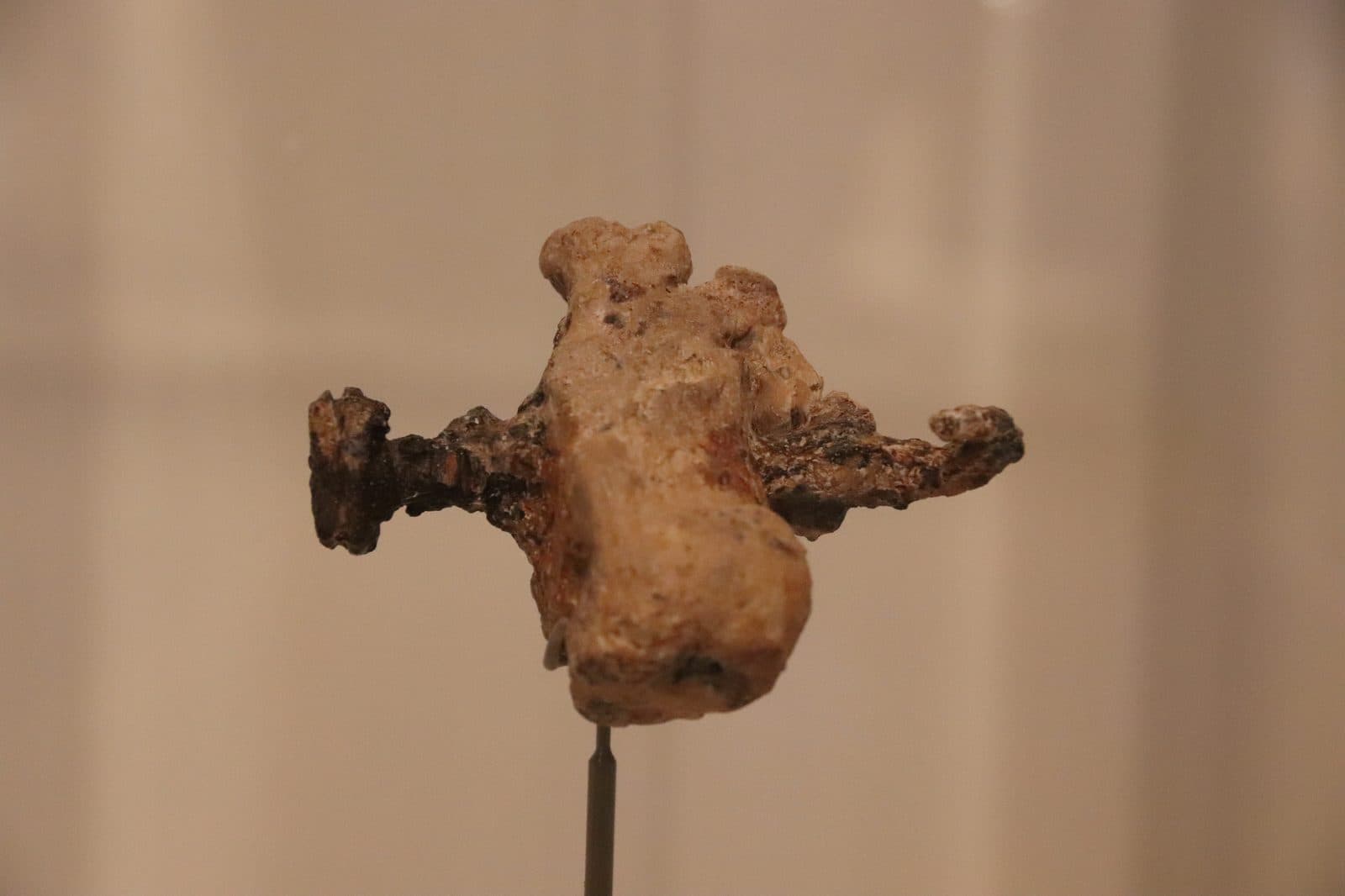 Osso del tallone trafitto da un chiodo di ferro, Museo di Israele, Gerusalemme