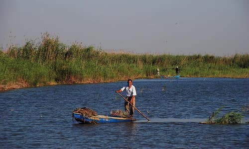Pescadores en el lago Mariut, junto a Alejandría, el antiguo lago Mareotis