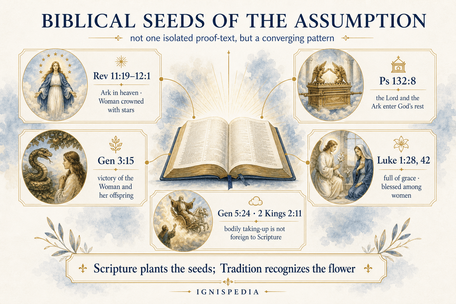 Ignispedia infographic on the biblical seeds of the Assumption
