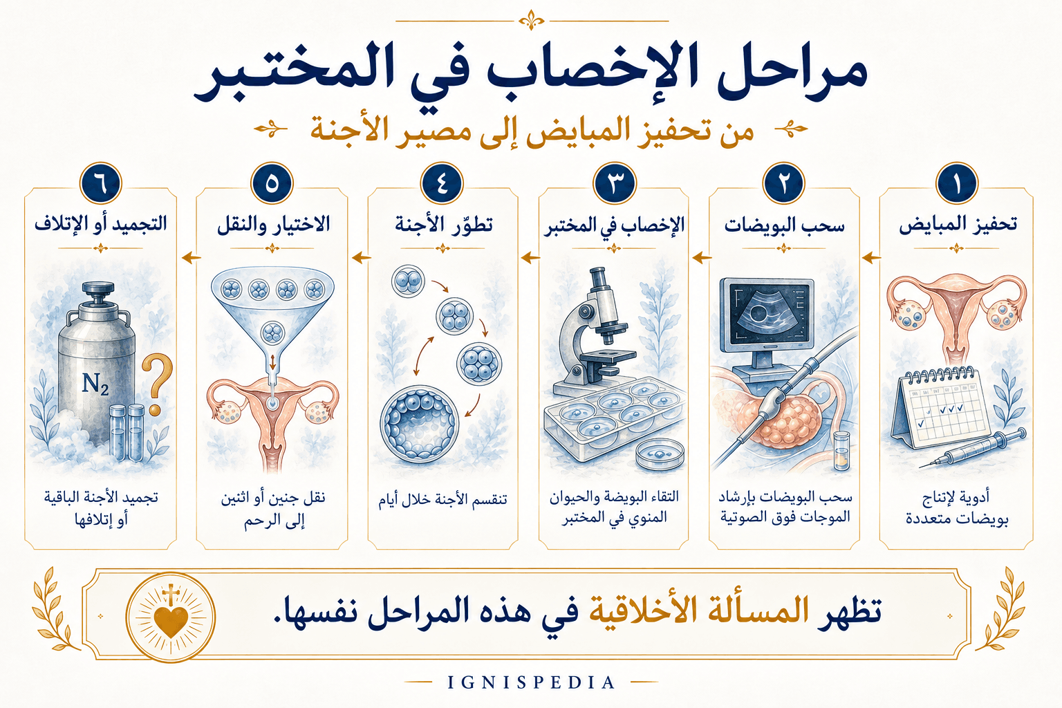 إنفوجرافيك في ست مراحل يُظهر مسار FIV، من تحفيز المبايض إلى تجميد الأجنة أو إتلافها