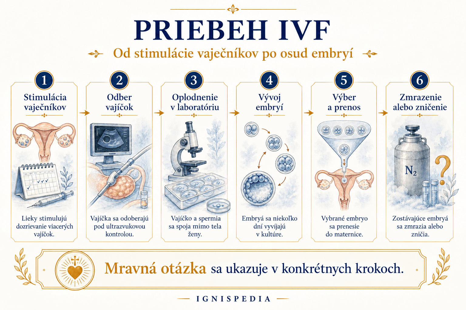 Infografika v šiestich krokoch znázorňujúca priebeh IVF, od stimulácie vaječníkov po zmrazenie alebo zničenie embryí