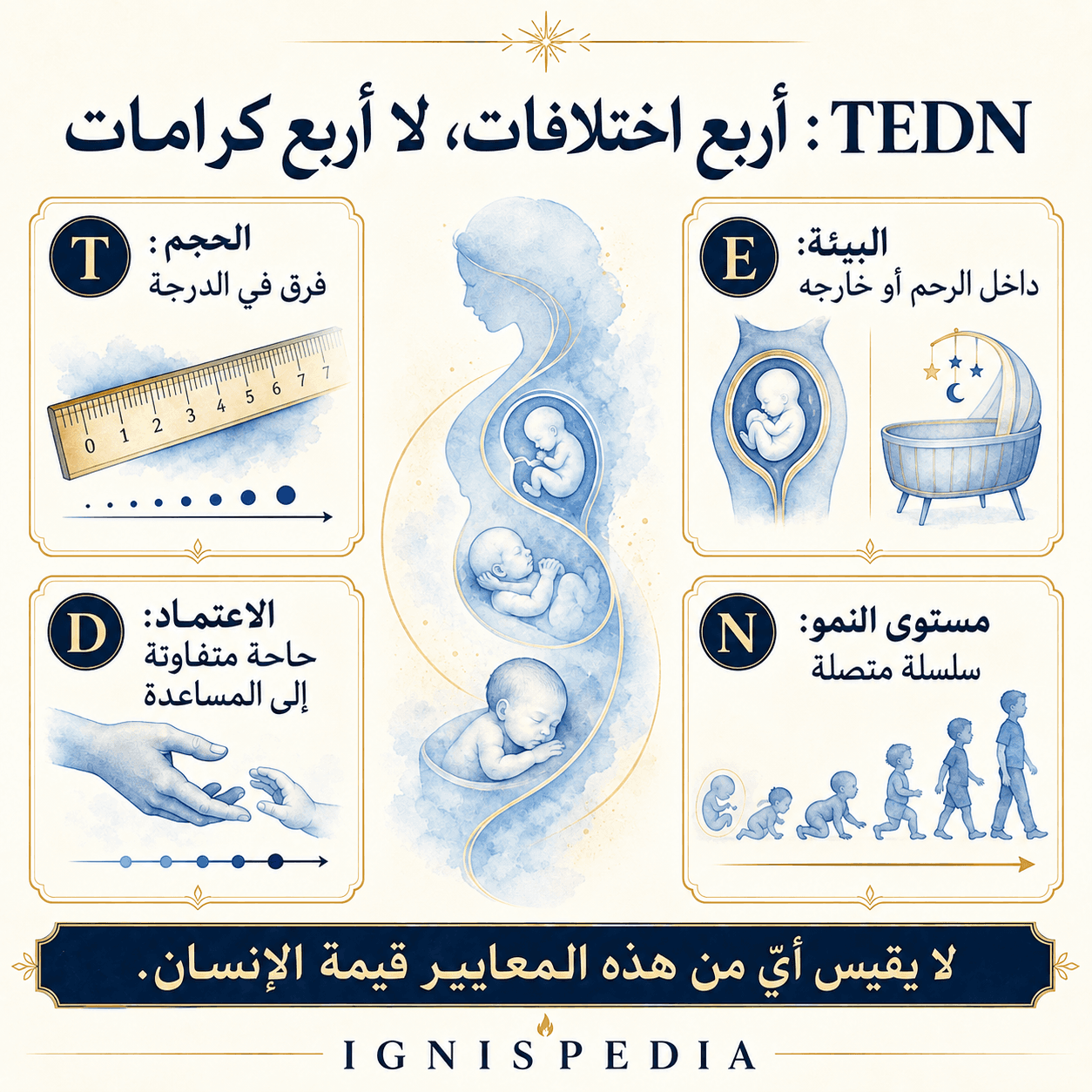 رسم معلوماتي لمعيار TEDN: الحجم والبيئة والاعتماد ومستوى التطور