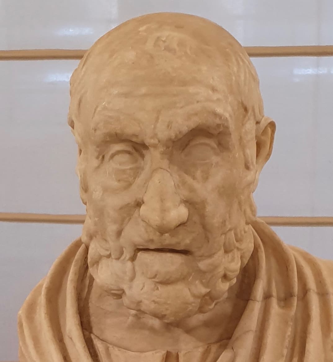 Busto di Ippocrate