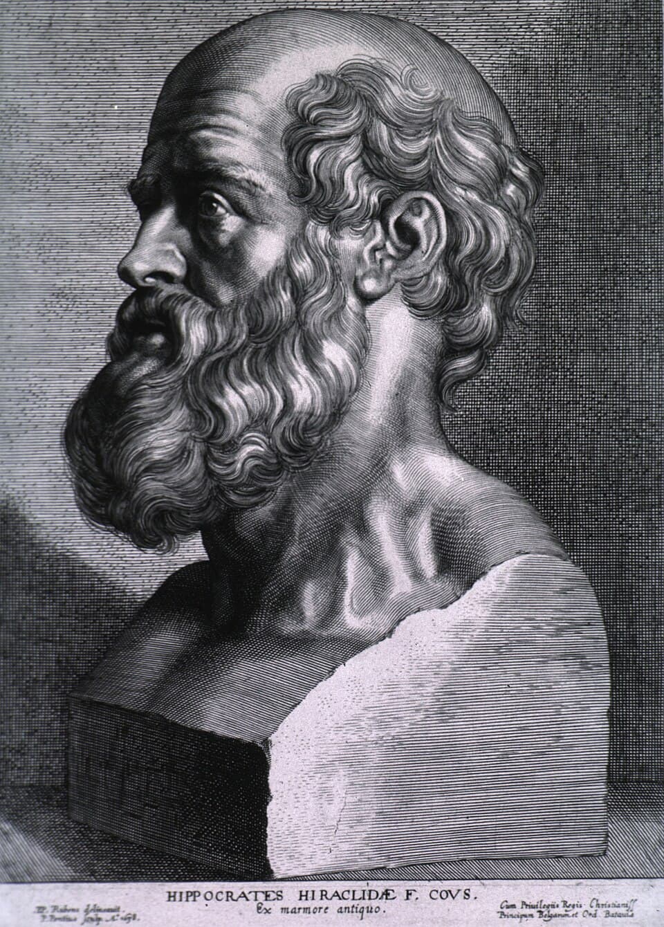 Incisione di Ippocrate da Rubens