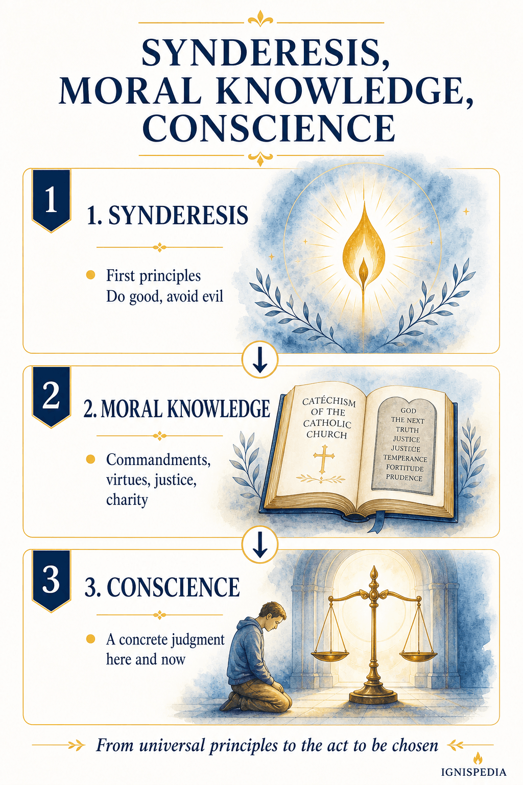 Infographic — the distinction between synderesis, moral knowledge and conscience according to Saint Thomas Aquinas