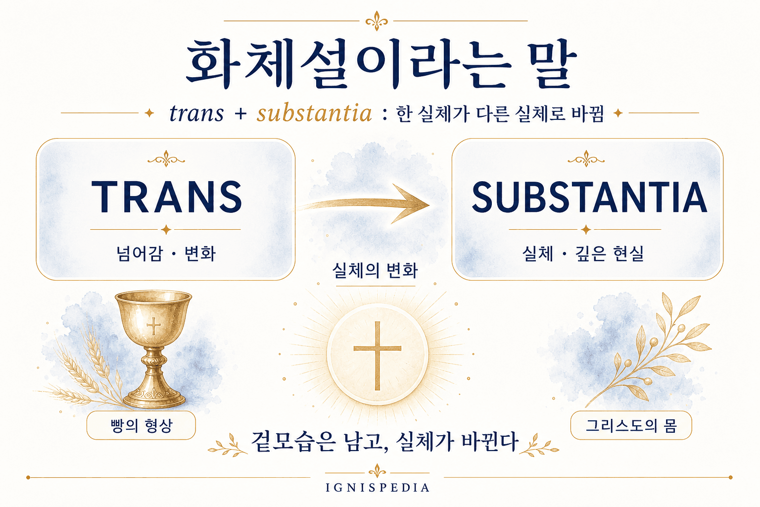 화체설이라는 단어를 설명하는 인포그래픽 : trans는 ‘옮겨감’, substantia는 ‘깊은 실재’를 의미