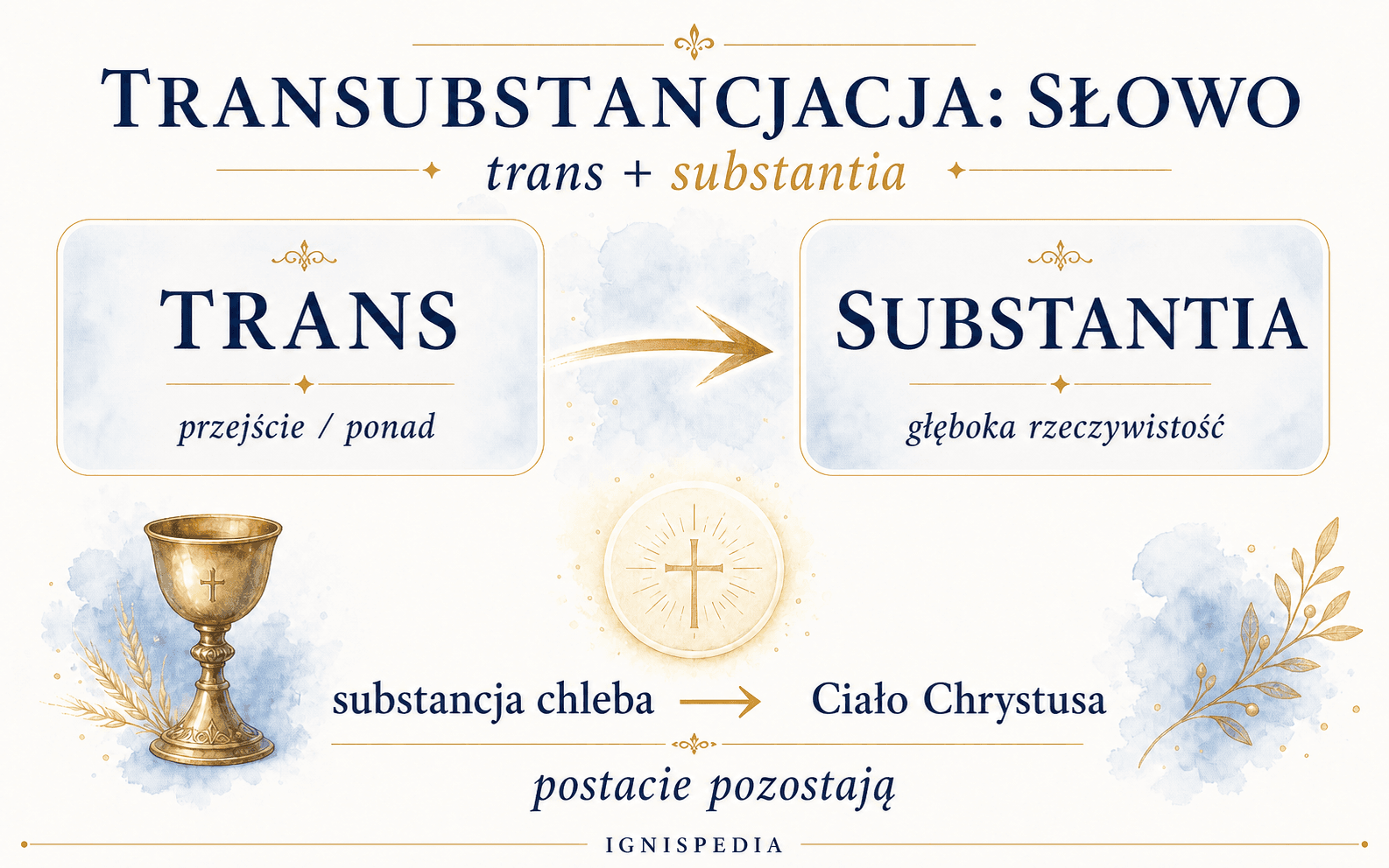 Infografika wyjaśniająca słowo transsubstancjacja: trans oznacza przejście, substantia oznacza głęboką rzeczywistość