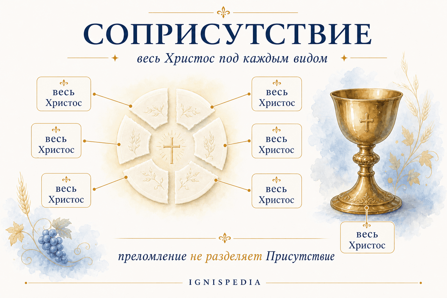 Инфографика: разделённая гостия, каждая частица которой содержит всего Христа