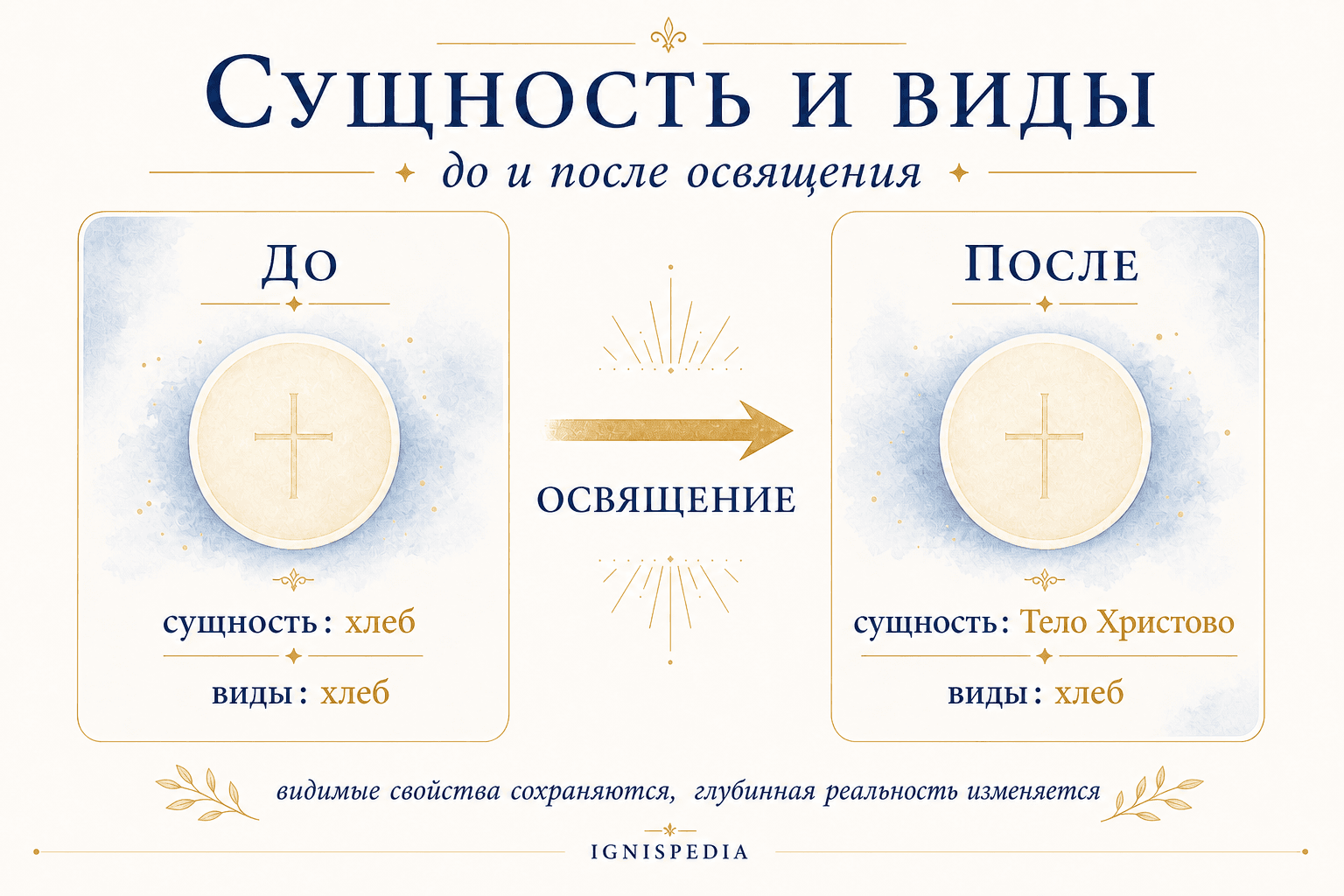 Инфографика, сравнивающая гостию до и после освящения: те же виды, изменённая сущность