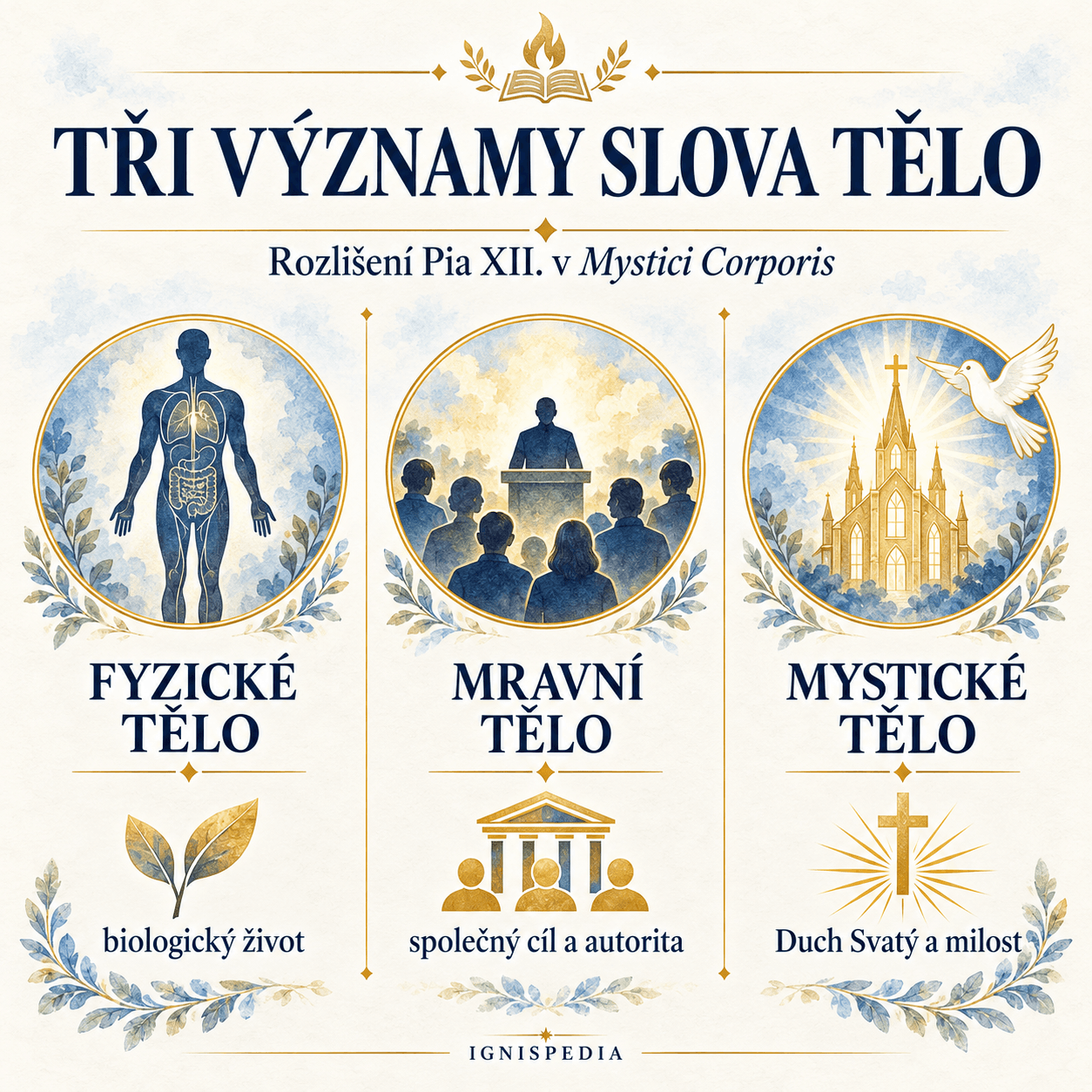 Infografika srovnávající tělo fyzické, tělo mravní a mystické tělo
