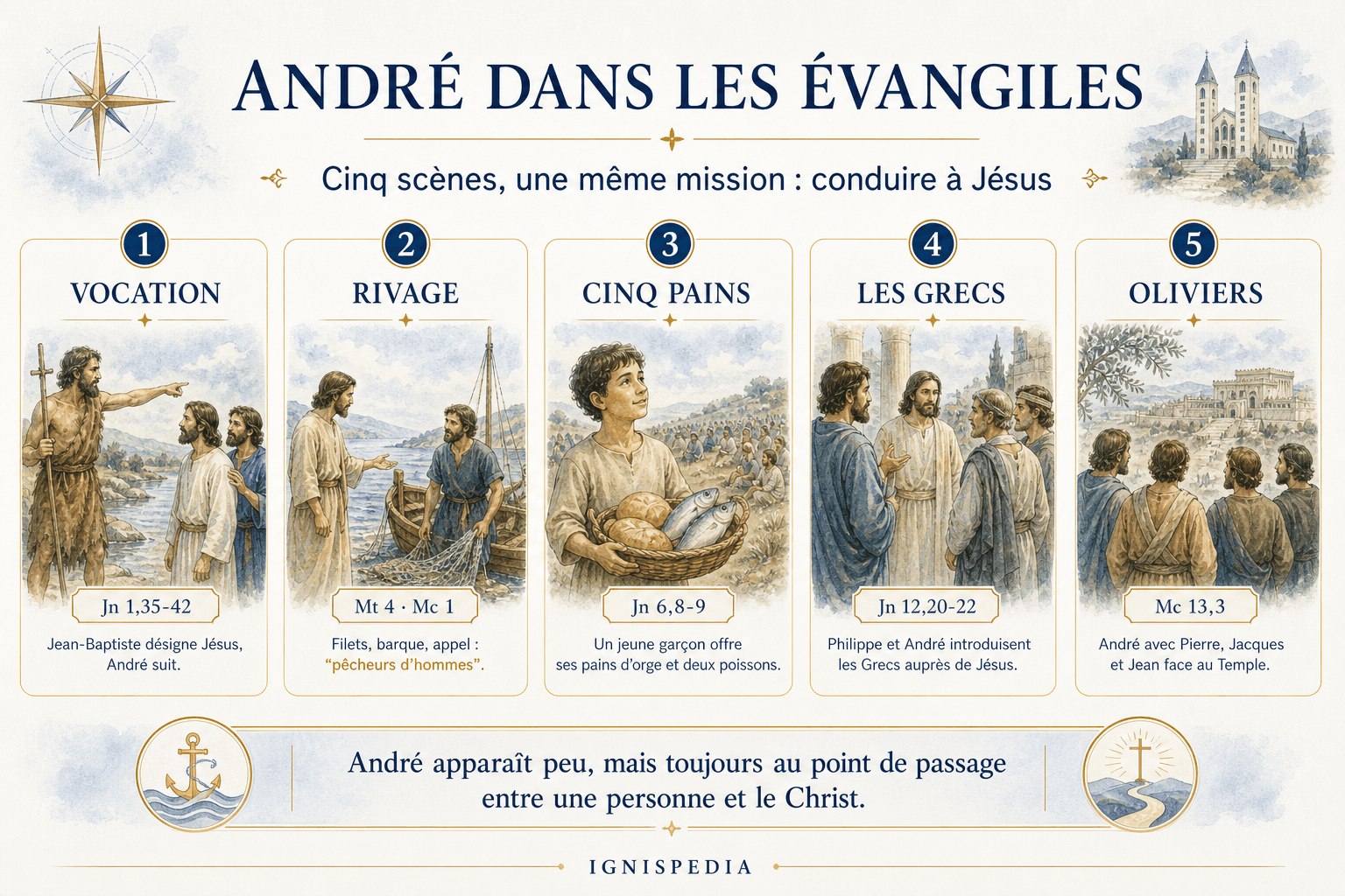 Infographie Ignispedia des cinq principales scènes évangéliques où apparaît saint André