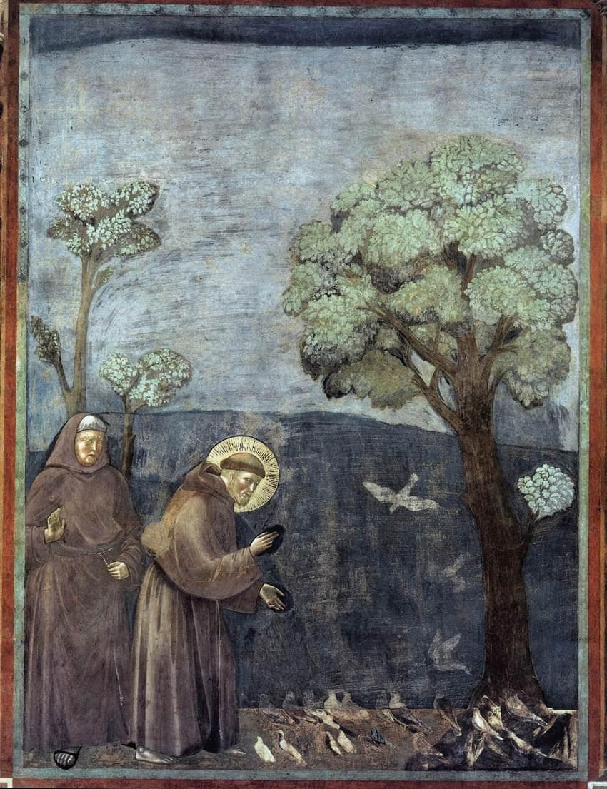 Saint Francis preaching to the birds, fresco in Assisi