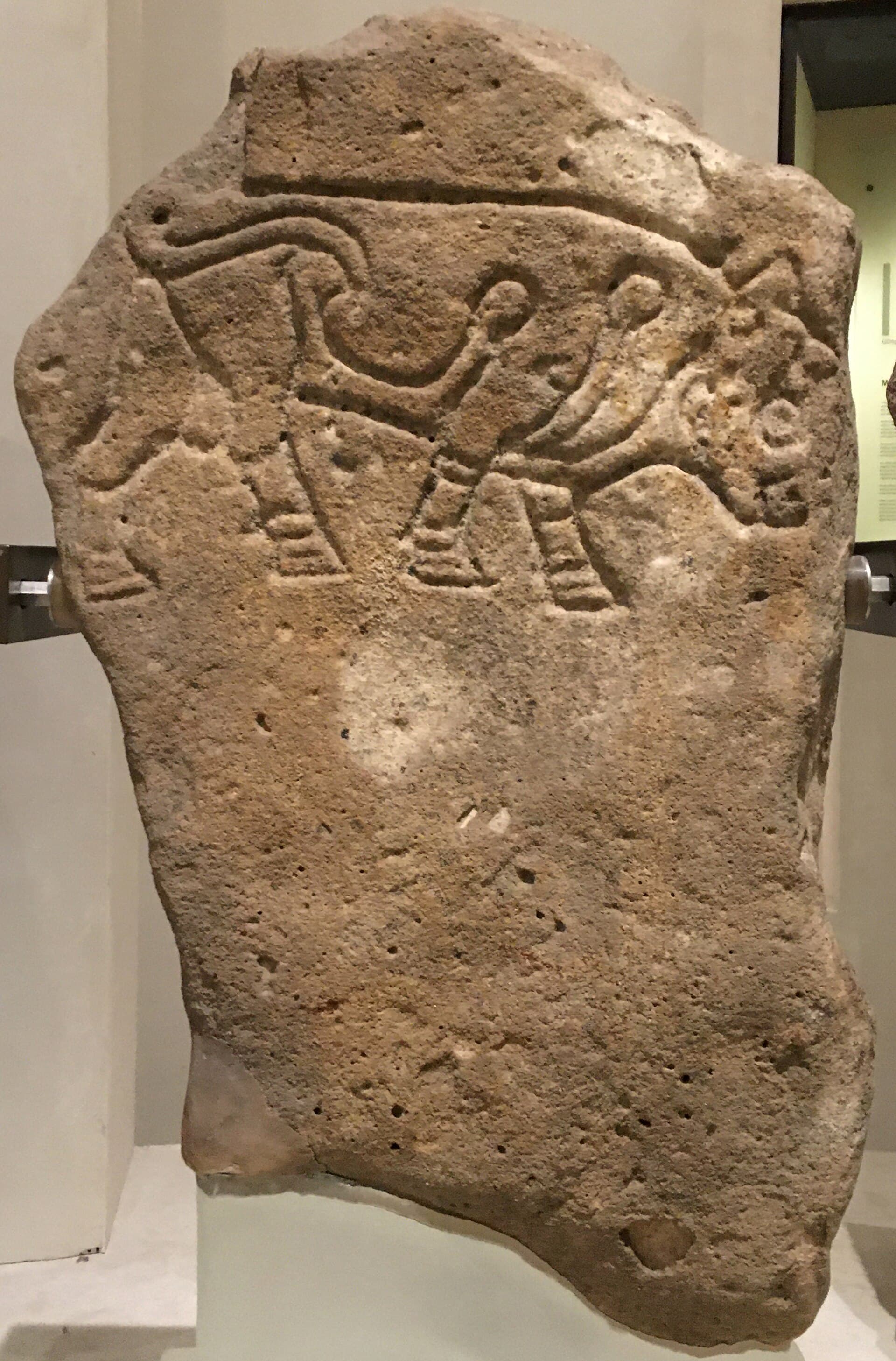 Pedra-símbolo picta com touro de Burghead, possível sede da fortaleza do rei Brude