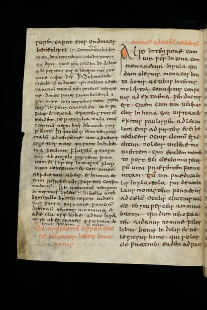 Folio from the Schaffhausen manuscript of Adomnán's Vita Columbae