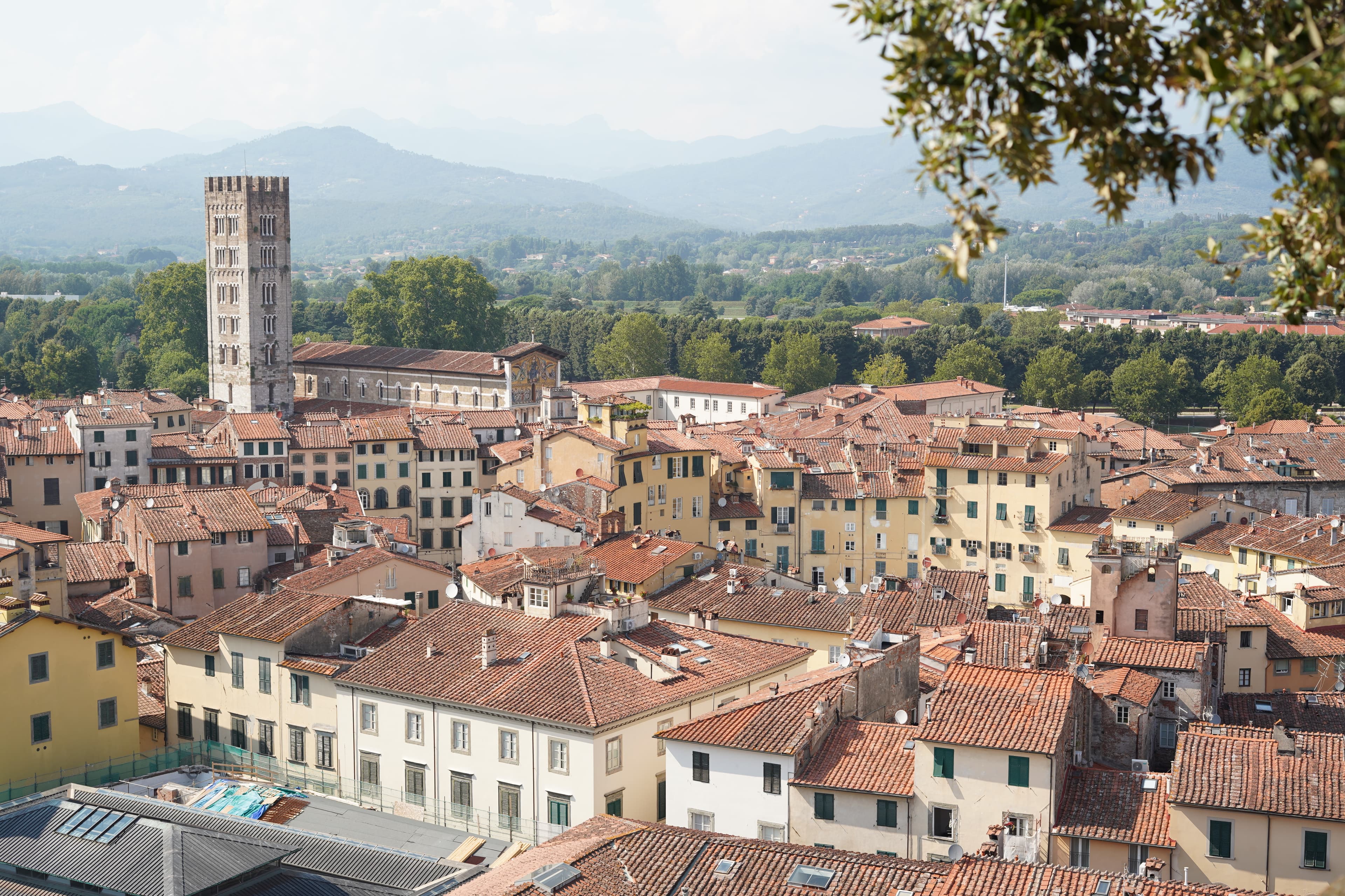 Lucca seen from the Guinigi Tower, with the San Frediano bell tower