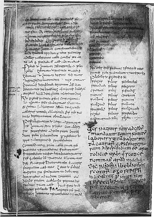 Folio 14 du Livre d’Armagh, manuscrit du IXe siècle conservé au Trinity College de Dublin
