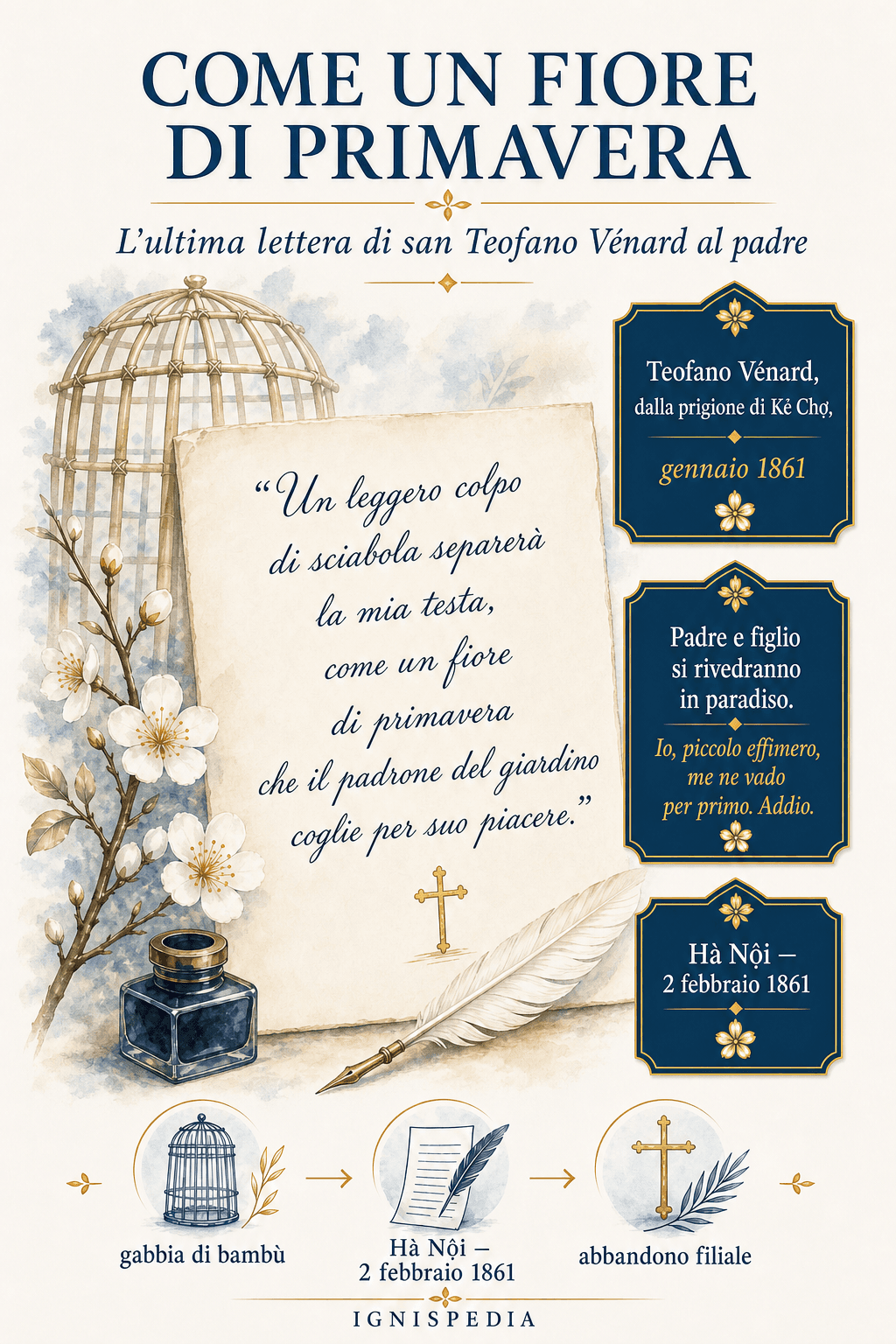 Infografica dell'ultima lettera di Teofano Vénard al padre sull'immagine del fiore di primavera
