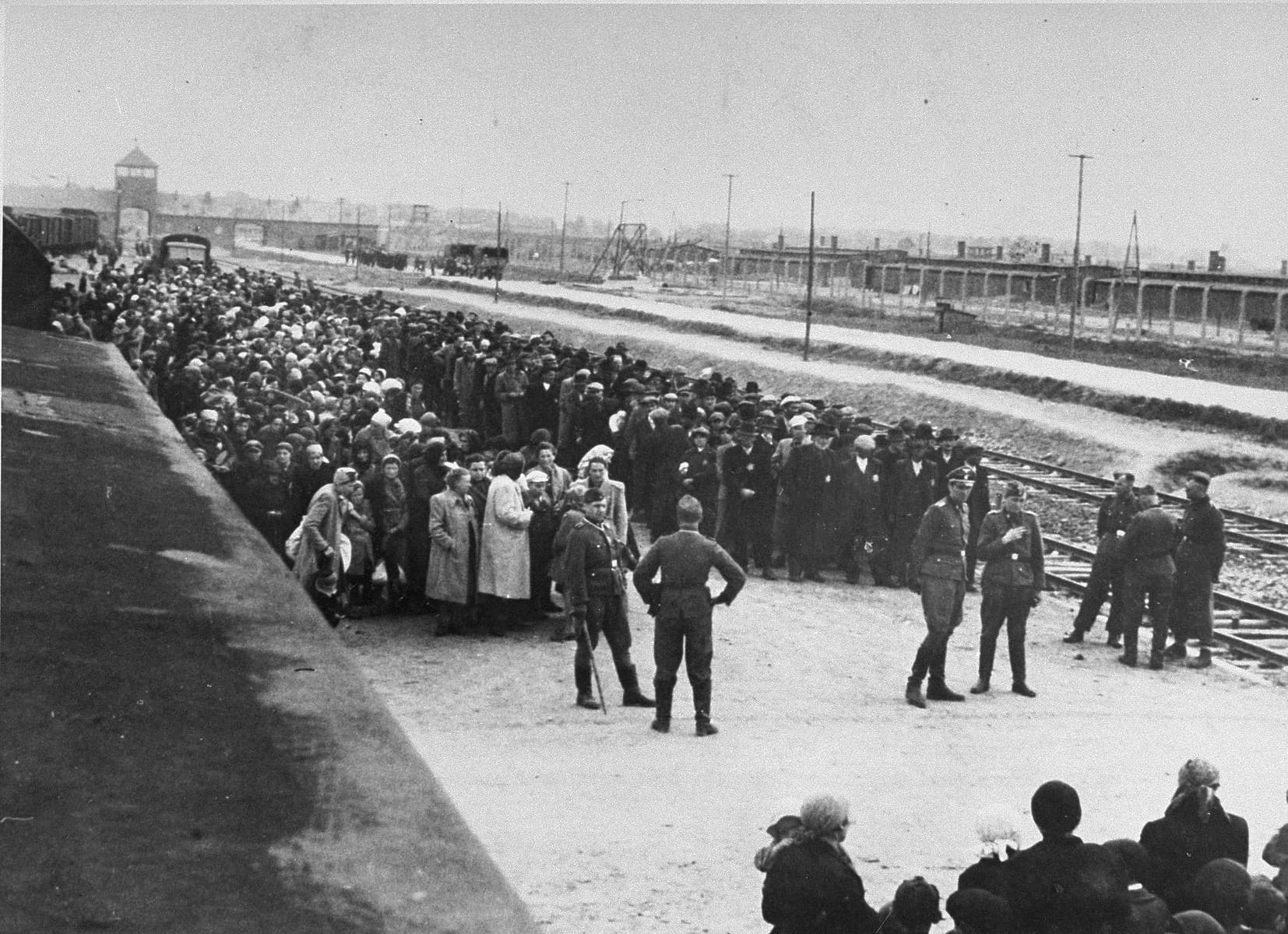Selekcja na rampie w Auschwitz-Birkenau, maj 1944